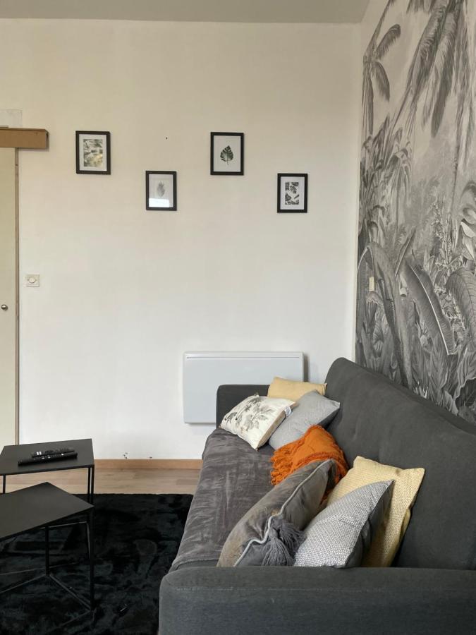 Logement Cosy Avec Stationnement Gratuit Troyes Exteriör bild